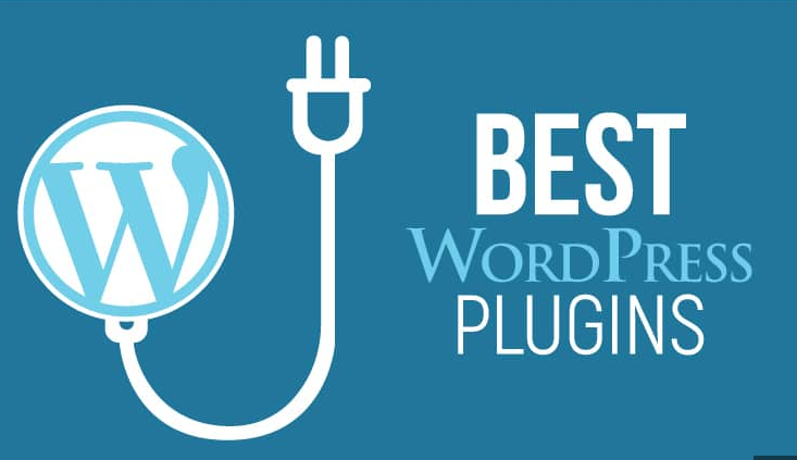 You are currently viewing What are different types of WordPress plugins