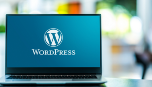 Read more about the article Why WordPress is the Best CMS for Your Website